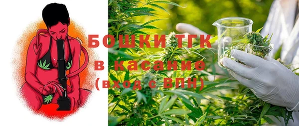 соль ск Алзамай
