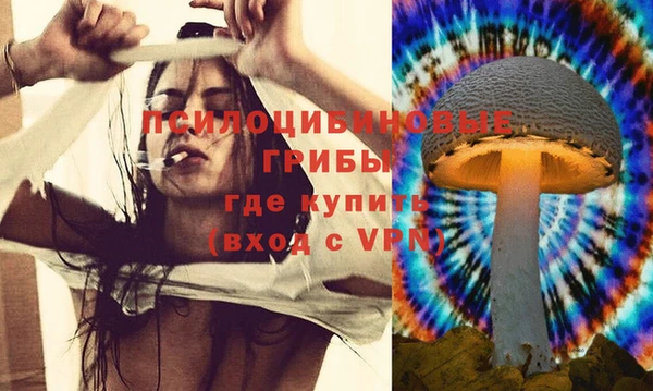 соль ск Алзамай