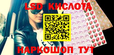 тгк Шебекино