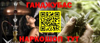 дмт Шелехов