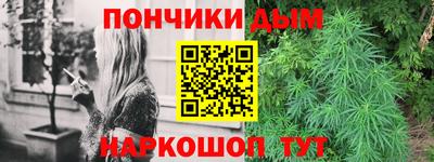 дмт Шелехов