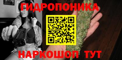 дмт Шелехов