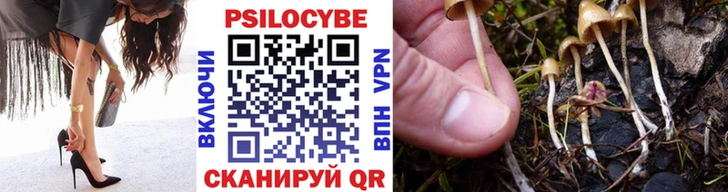 Псилоцибиновые грибы ЛСД  где можно купить   мориарти клад  Бахчисарай 