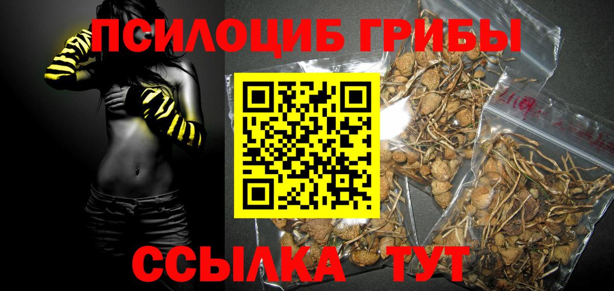 Бахчисарай  Галлюциногенные грибы прущие грибы  Вход с VPN 